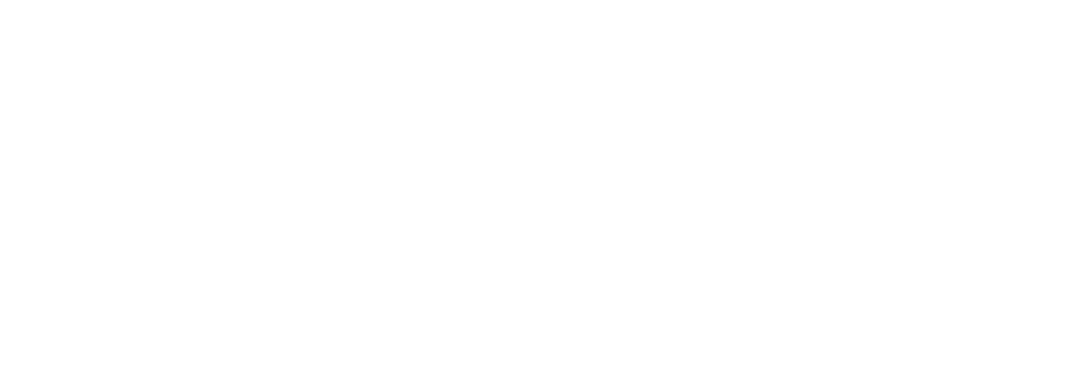 Le Spectacle musical de Kamel Ouali